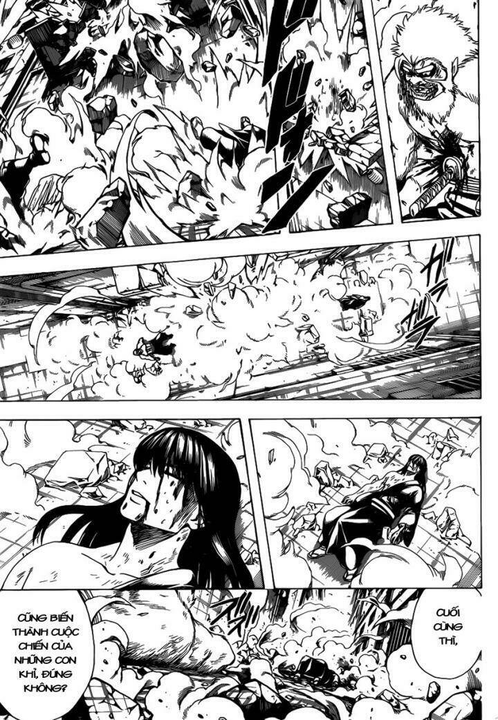 gintama - linh hồn bạc chapter 564 12