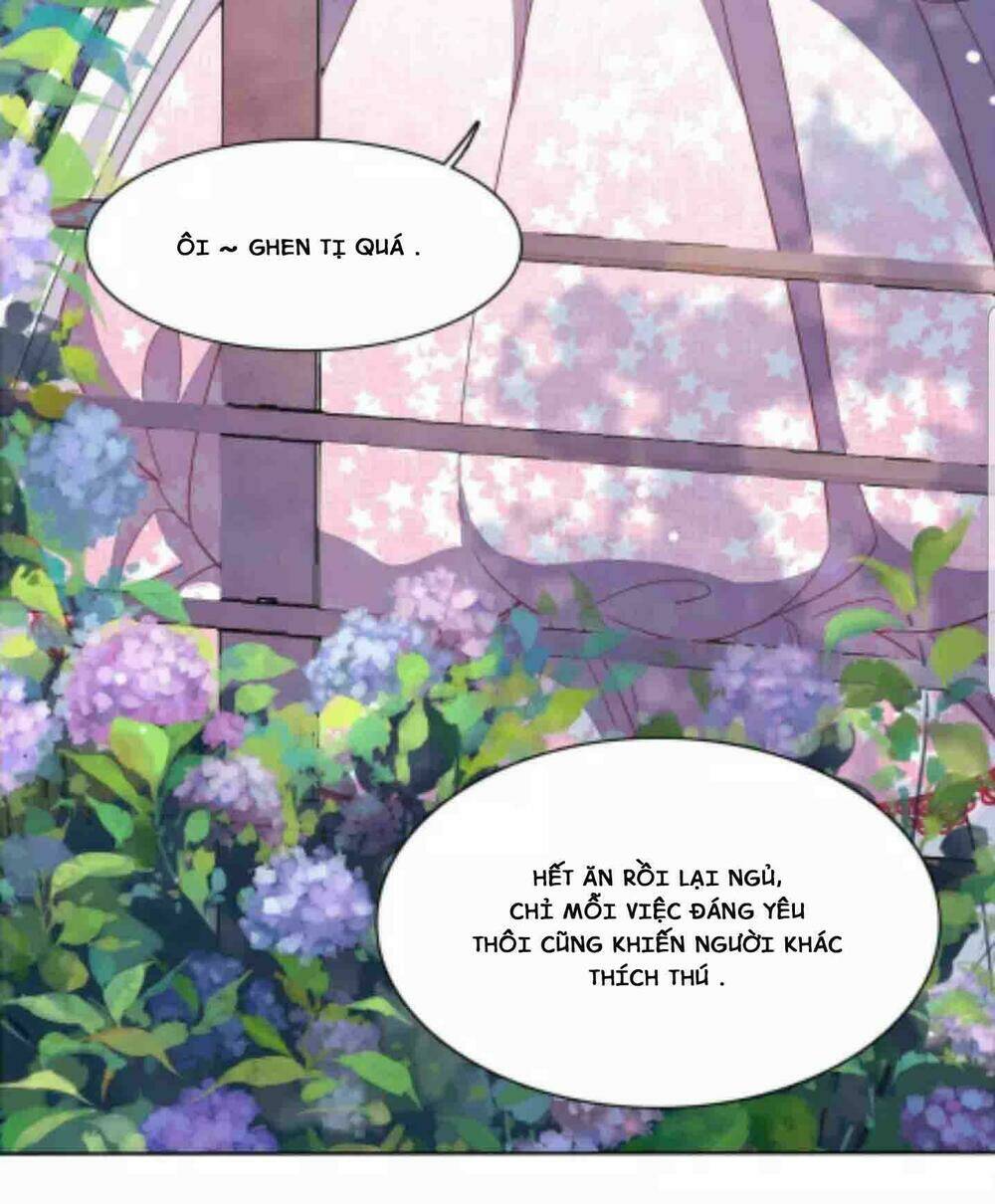 xuyên về cổ đại làm quốc bảo chapter 1 13