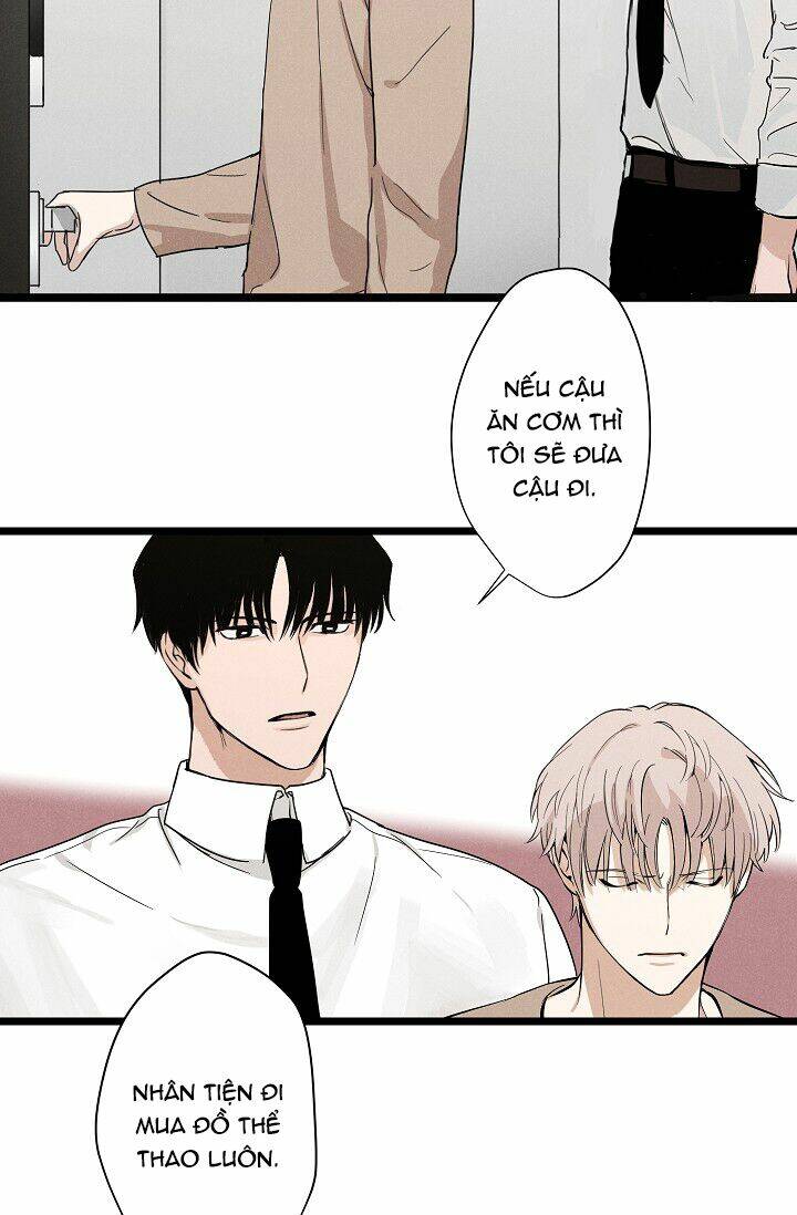 trốn tìm chapter 1 48