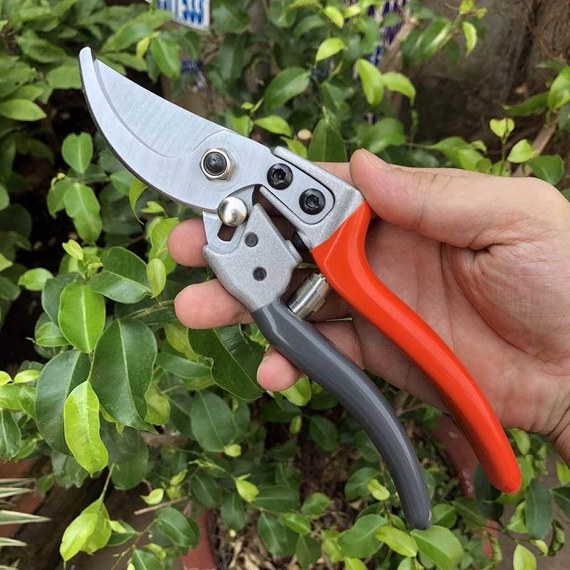 Kéo cắt cành Nhật - SK5 màu đỏ nâu rất sắc bén