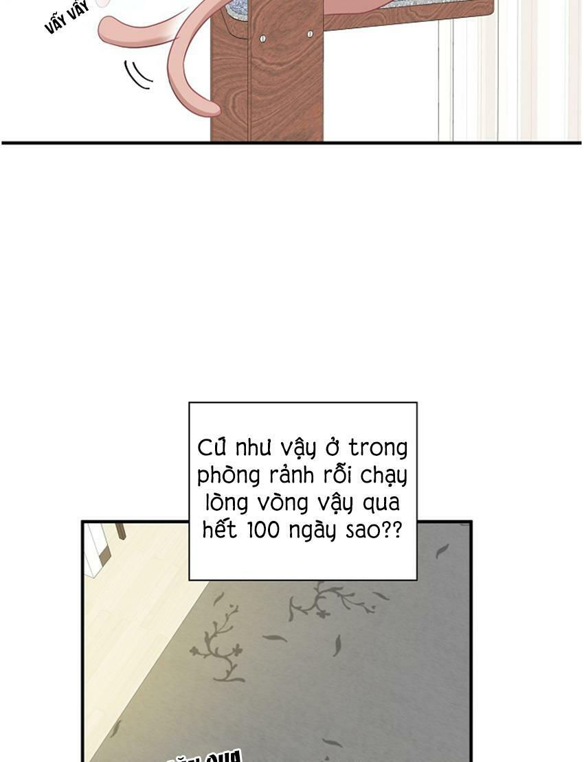 cuộc sống kỳ thú chapter 17 13