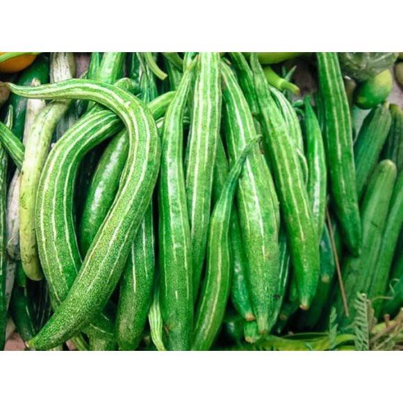 Hạt Giống Qủa Lặc Lày Sai Trái Trồng Quanh Năm Quy Cách 20-10-1 Hạt - khu Vườn Ban Công