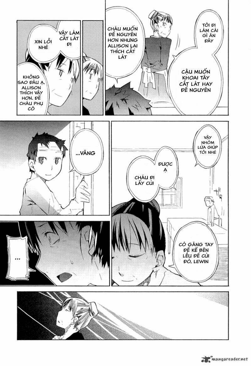 allison chapter 3 29