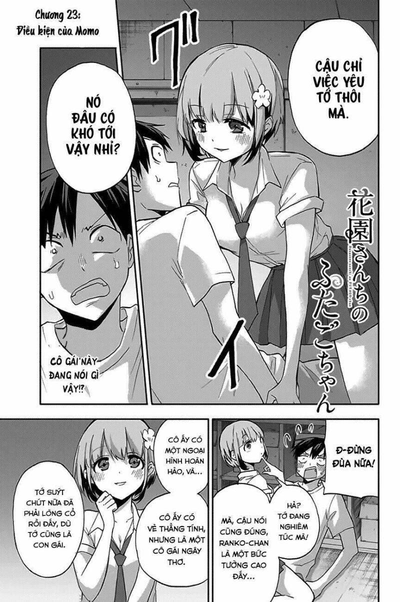 hanazono-sanchi no futago-chan chapter 23 1