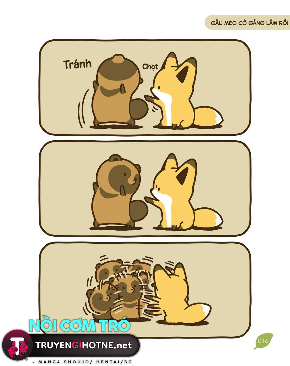 cáo và gấu mèo chapter 9 15