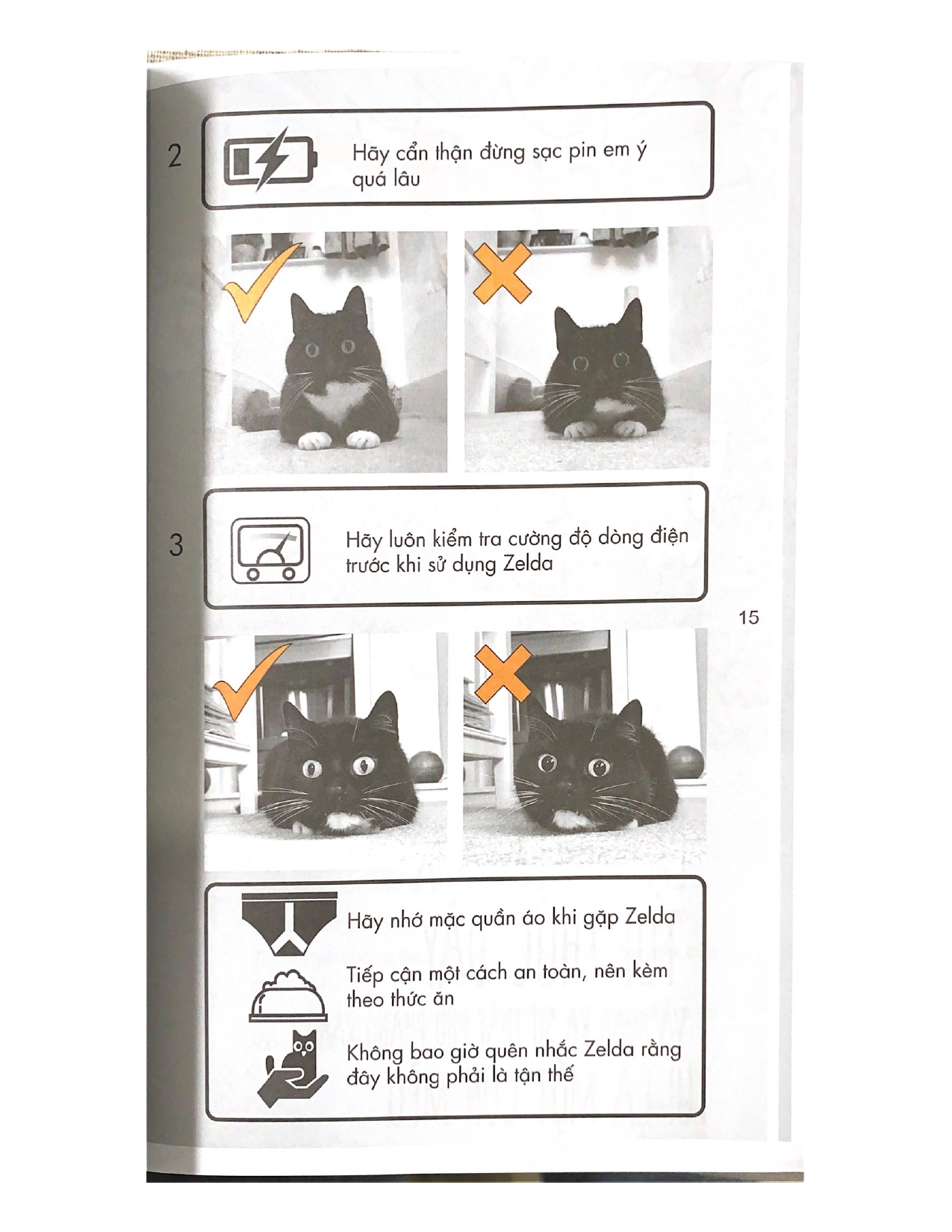 Mèo Con Phiêu Lưu Ký