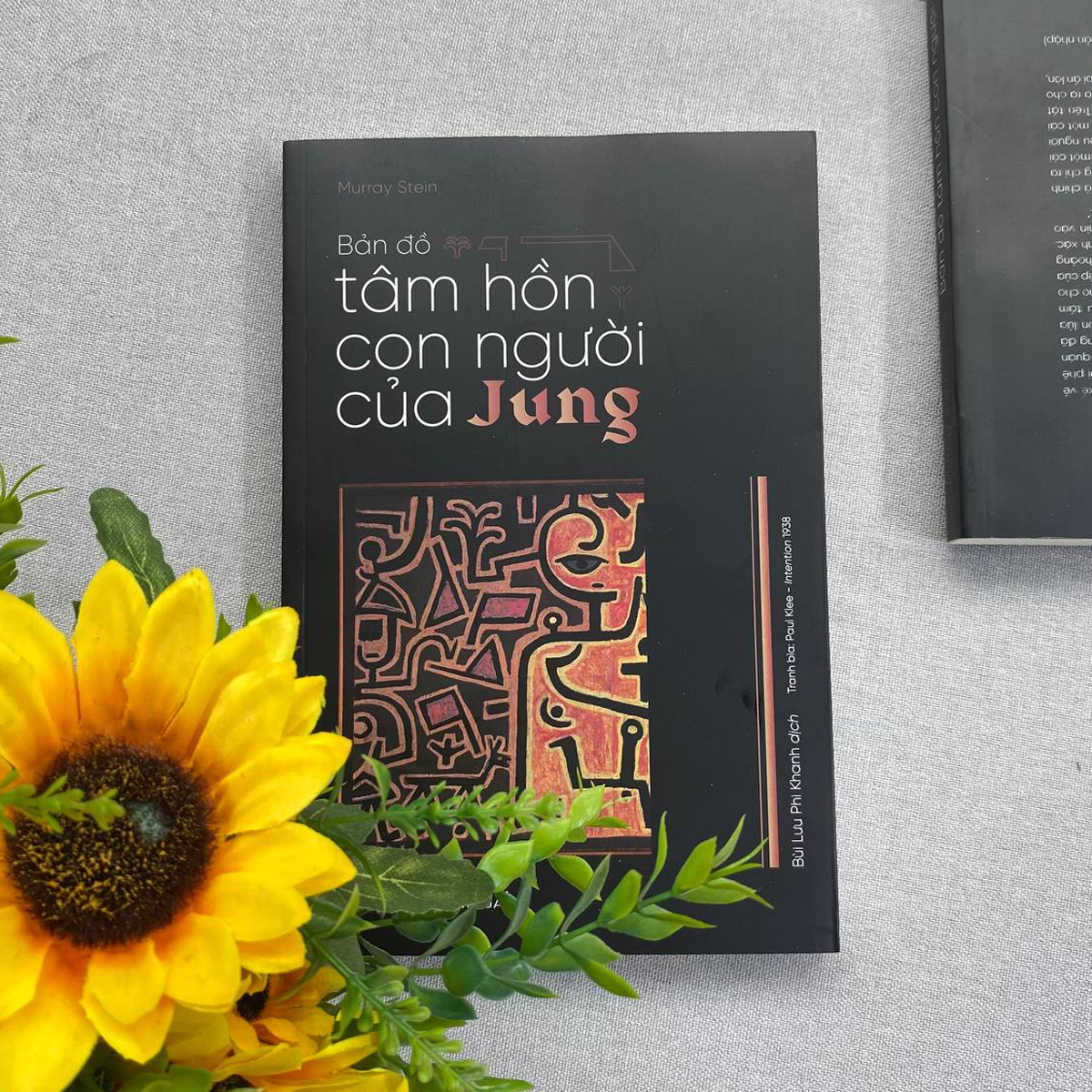 Sách - Bản Đồ Tâm Hồn Con Người Của Jung