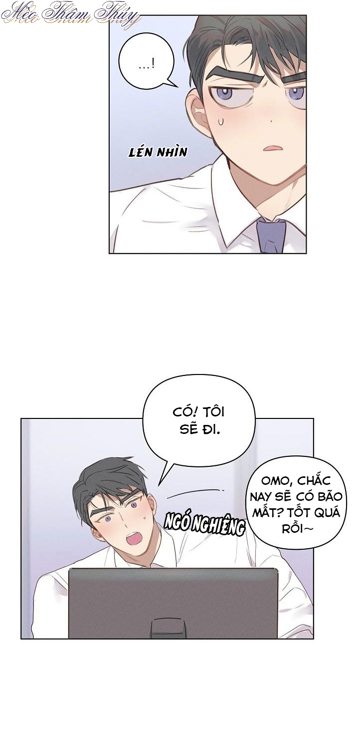 nơi tình yêu định mệnh chapter 2 12