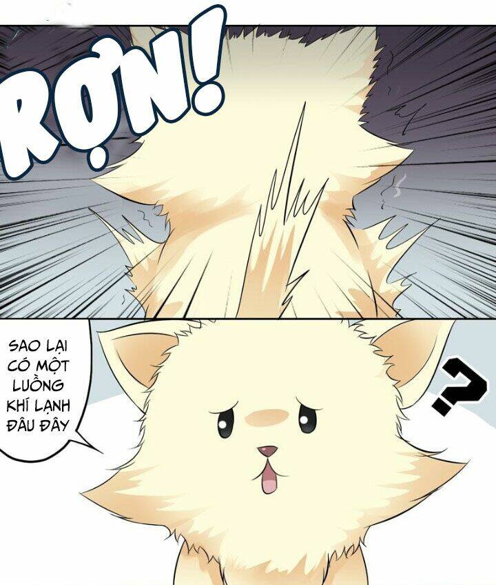 bạn trai tùy chỉnh chapter 5 12