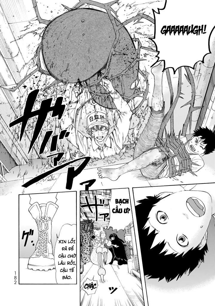 hataraku saibou! chapter 25 8