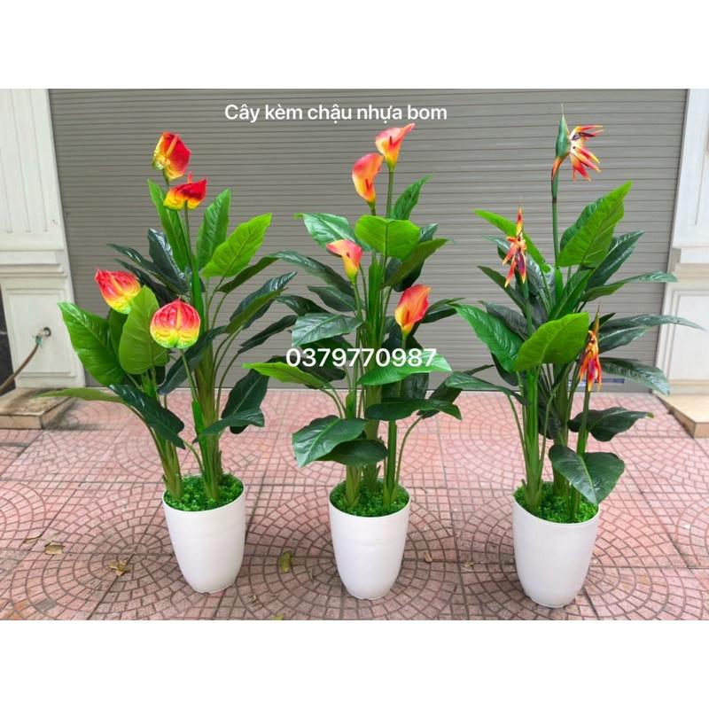 Cây hoa thiên điểu giả 150cm, ảnh thật do shop chụp. Cây giả decor trang trí nhà cửa nội thất phòng khách phòng ngủ