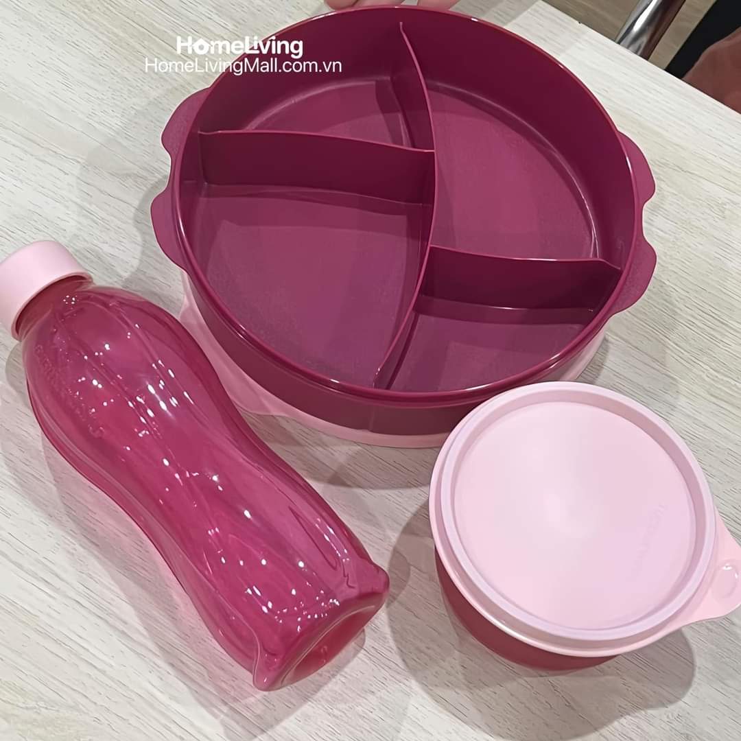 Bộ hộp cơm FIT TO GO - Tupperware chính hãng - bảo hành trọn đời