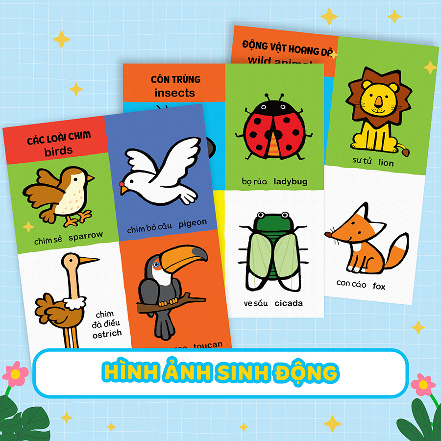 My First 100 Animals - Sách Từ Vựng Đầu Đời Cho Bé