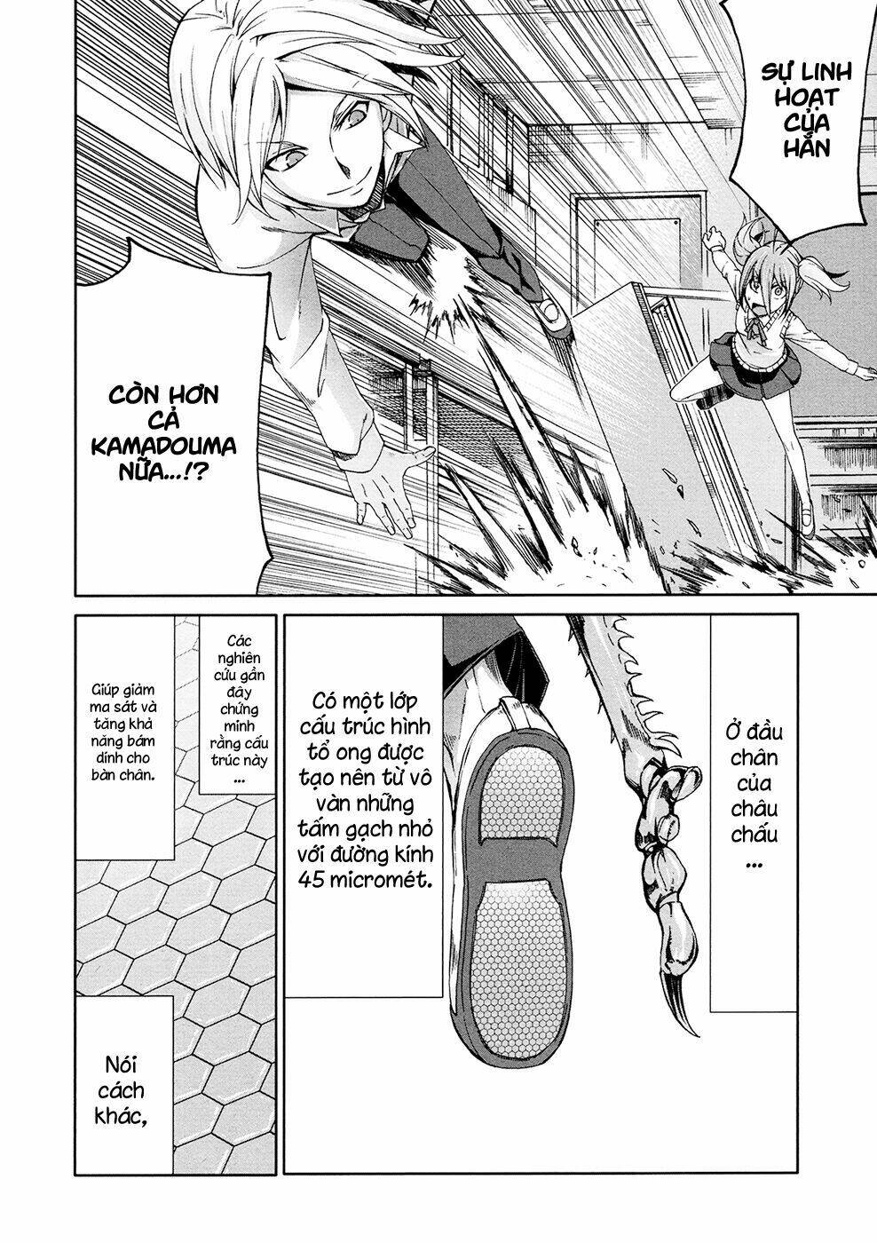 arachnid chapter 38 18