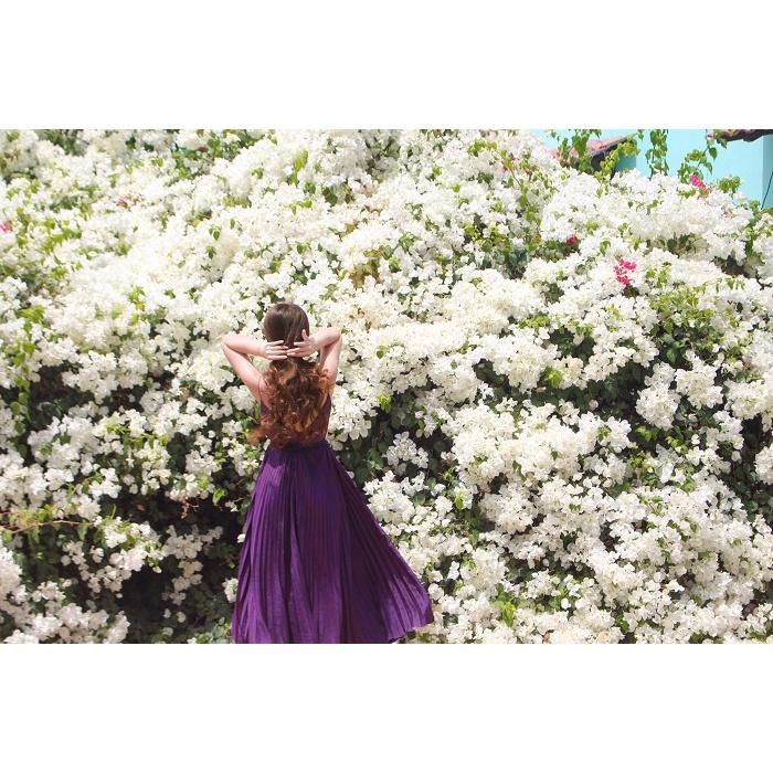 Hoa giấy trắng tuyết thái - chậu cây đang hoa, size cây nhỡ