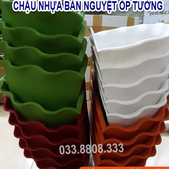 10 Chậu Nhựa Trồng Cây Bán Nguyệt Treo Tường - Chậu Bền Đẹp