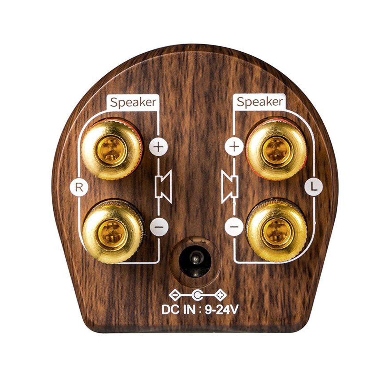 Mini Bluetooth Power Amplifier Wood Grain HiFi 100W Class-D Digital Amp