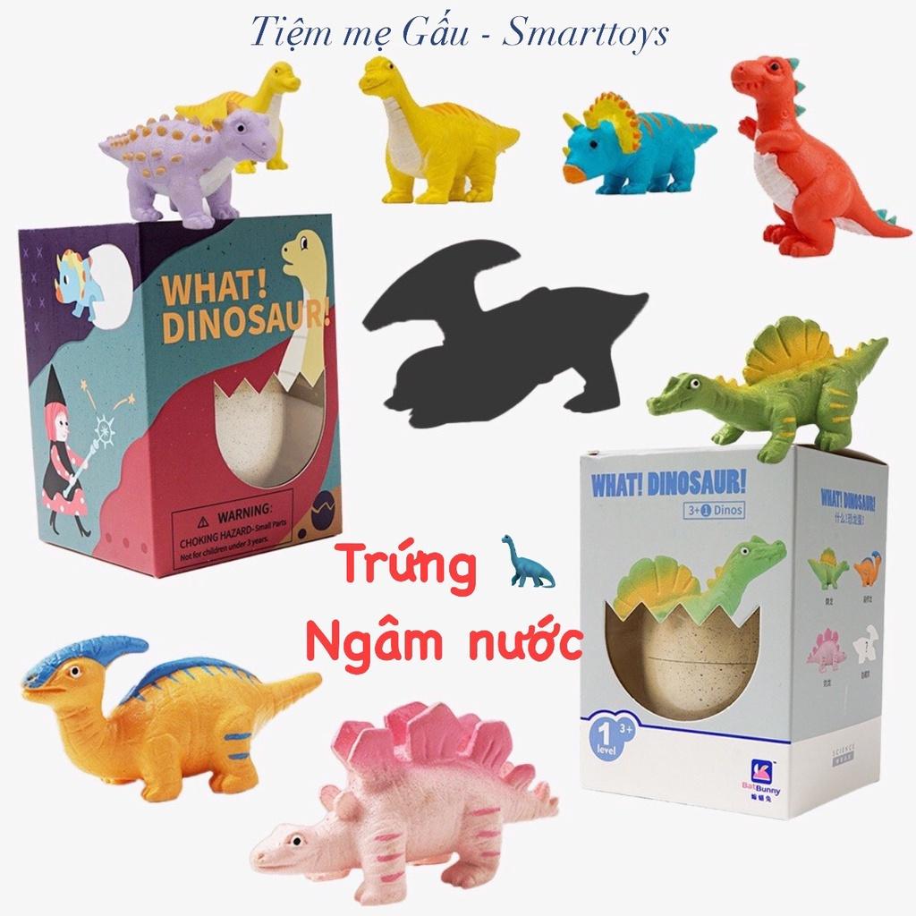 ĐỒ CHƠI KHOA HỌC, KHÁM PHÁ HATCHING DINOSAUR EGGS TOY TRỨNG KHỦNG LONG NGÂM NƯỚC TỰ NỞ