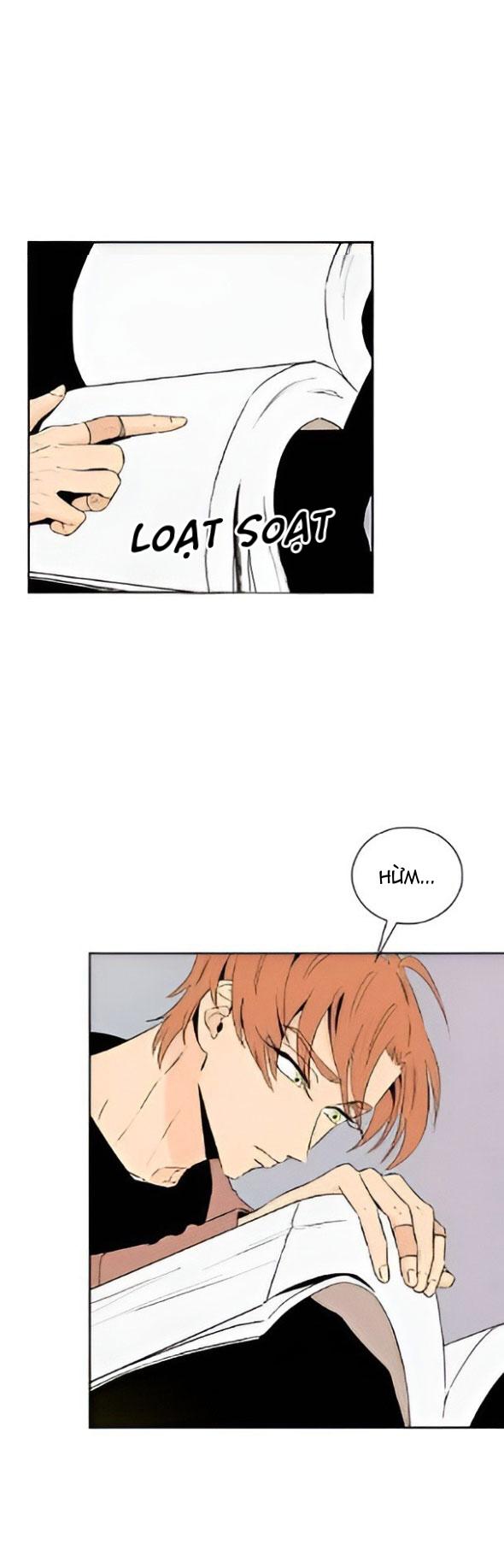 bona sort chapter 22 27