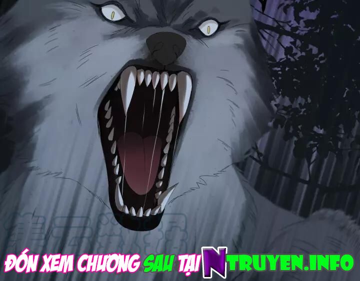 lượm được một tiểu hồ ly phần 3 chapter 98 34