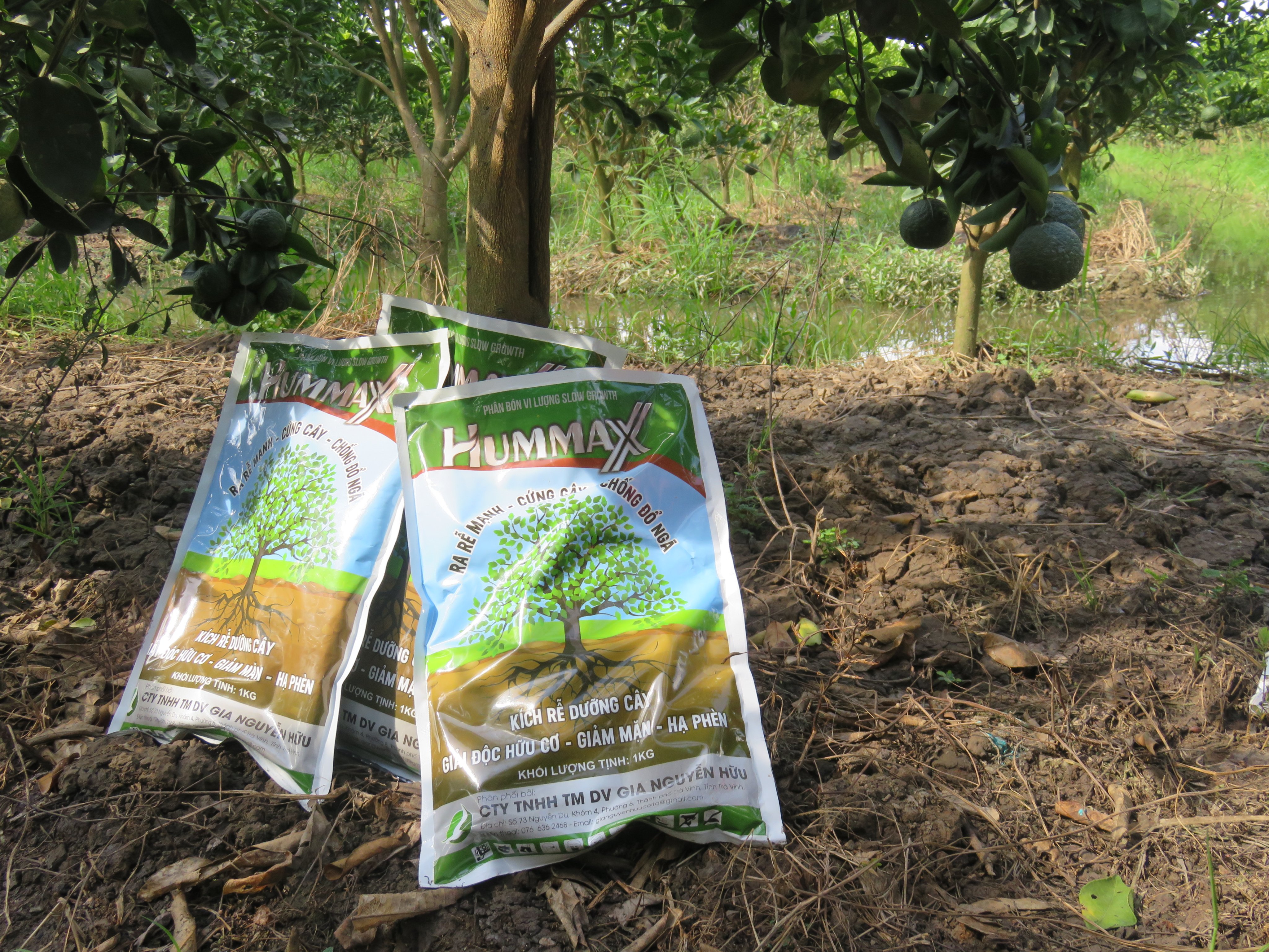 HUMMAX gói 1kg - kích rễ cứng cây