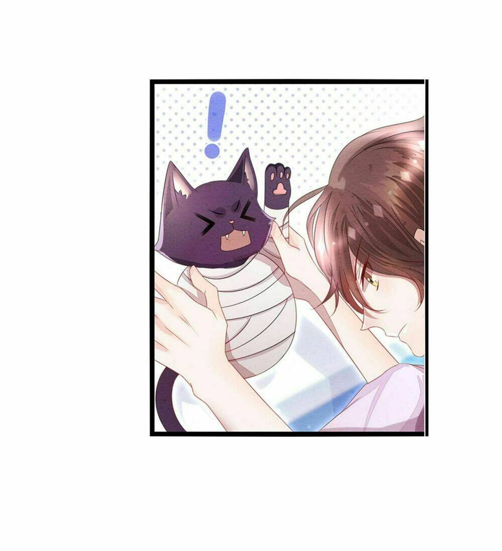 làm mèo của ta chapter 2 8