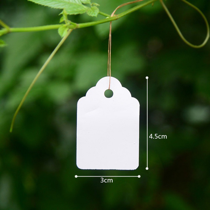 Thẻ treo ghi tên hoa kiểng, lan dạng có dây buộc - bịch 100 cái