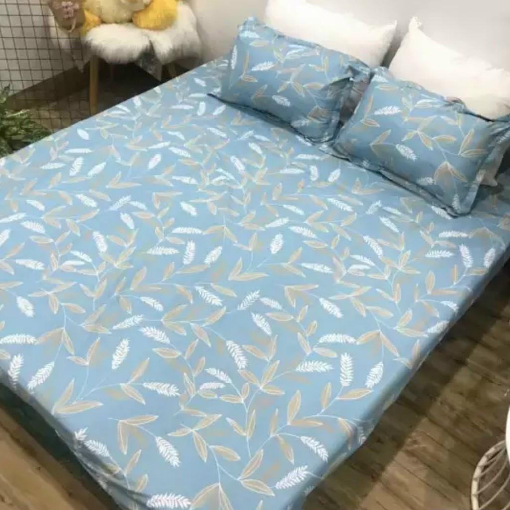 Bộ Chăn Ga Gối Cotton Poly PLX17 sang xịn mịn