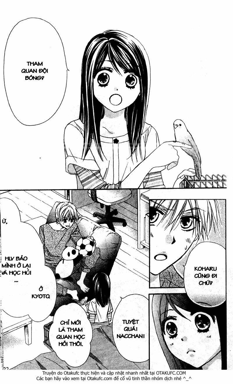 hachimitsu ni hatsukoi chapter 51 21