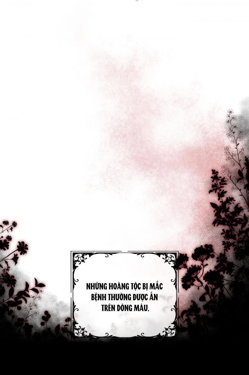 plaything - món đồ chơi của đại công tước chapter 34.5 10