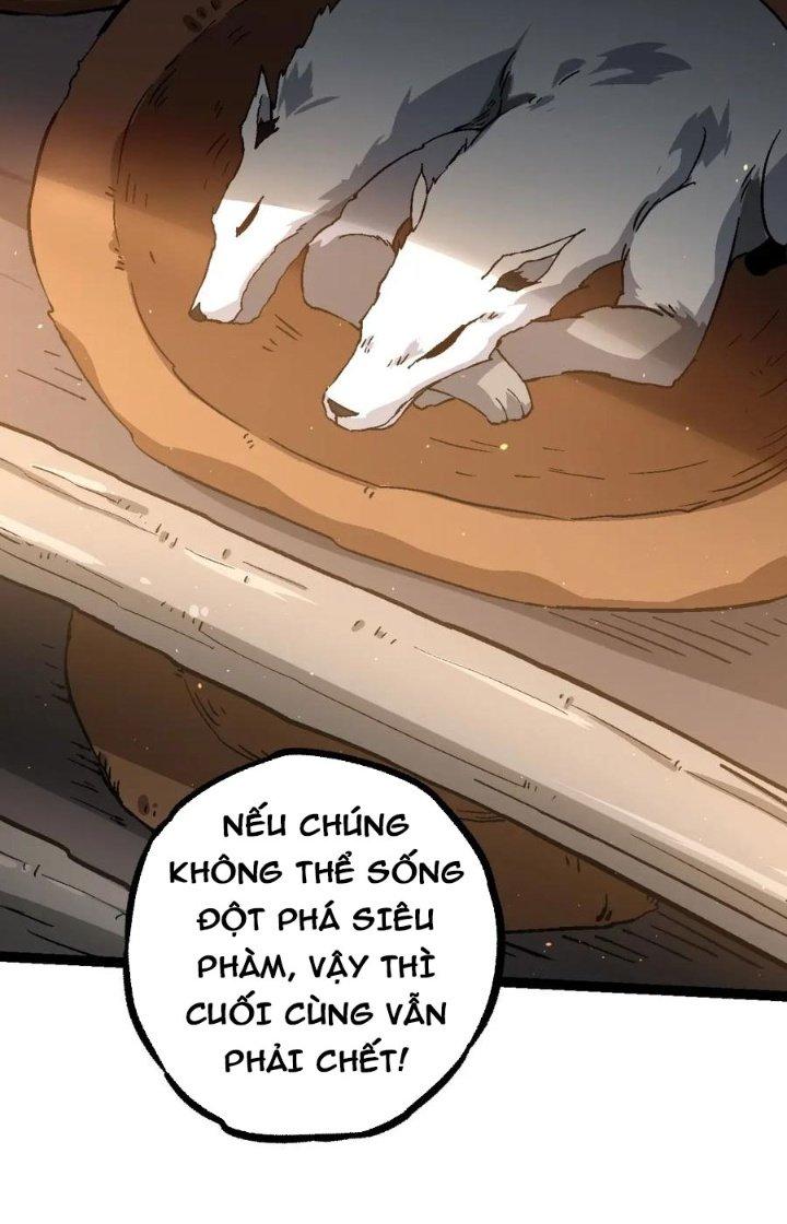 từ cây cổ thụ bắt đầu tiến hóa chapter 81 17