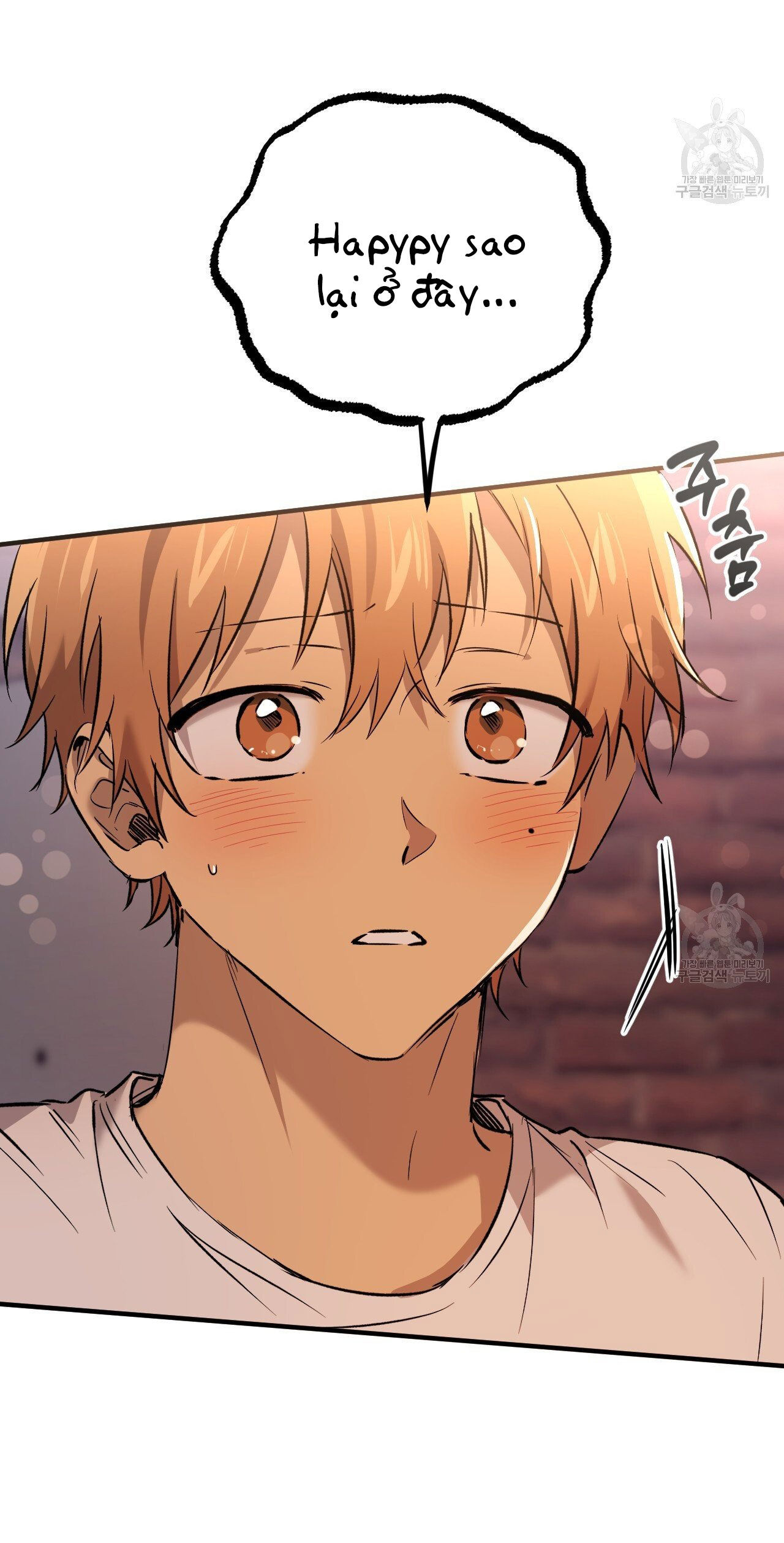 những chú thỏ của hapypy chapter 57.1 2