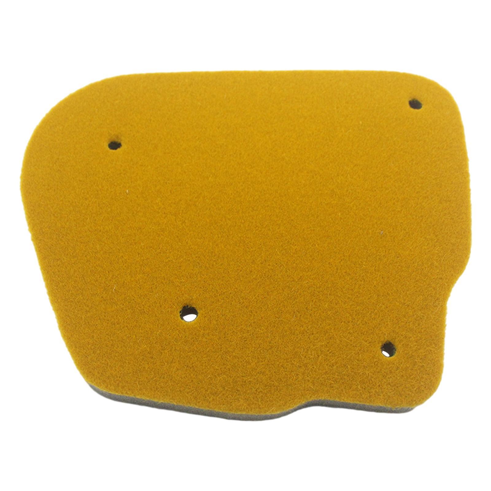 Filter Professional for WY BWS 50 WY50 BWS100