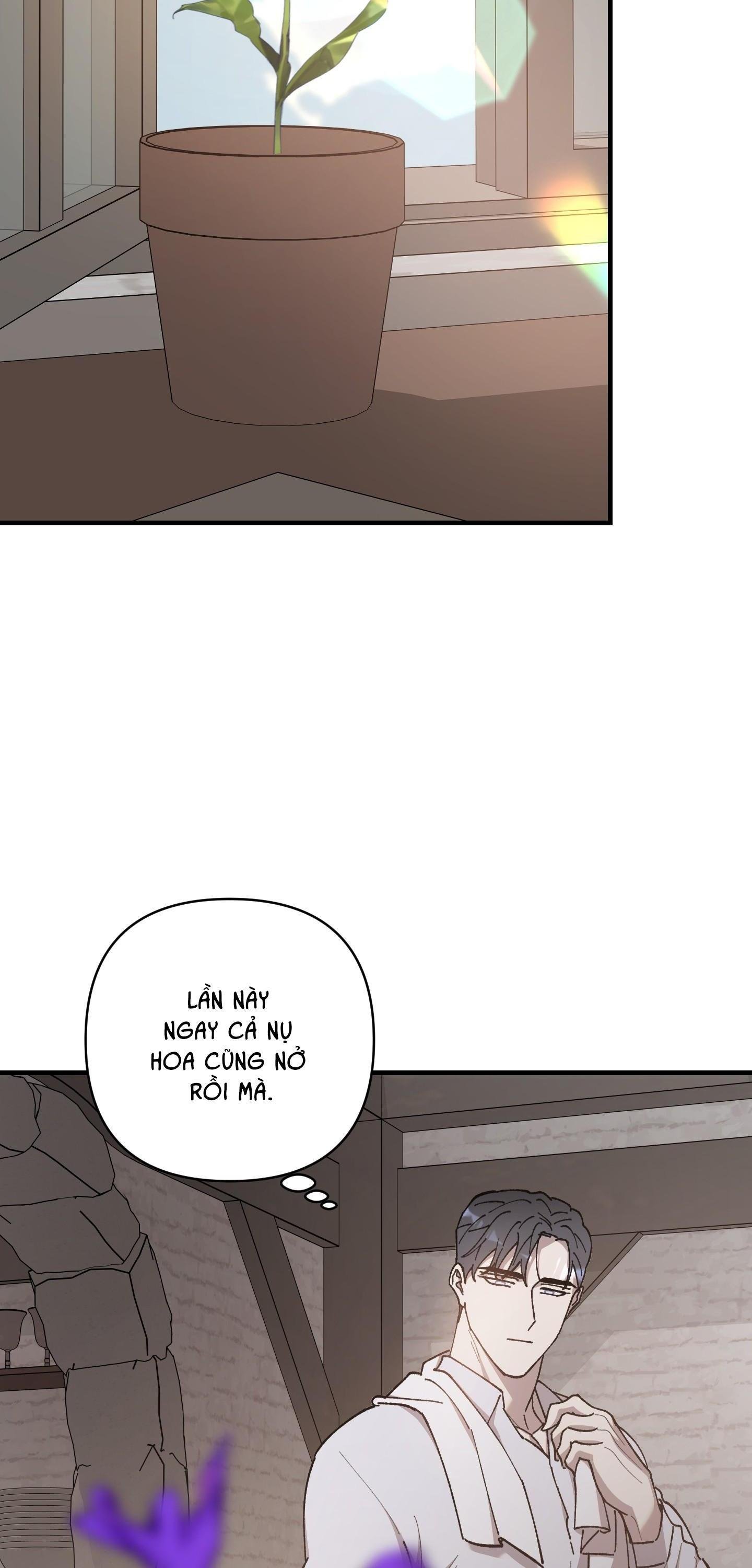 đóa hoa của mặt trời chapter 95 62