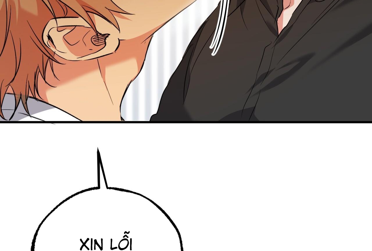 những chú thỏ của hapypy chapter 57 114