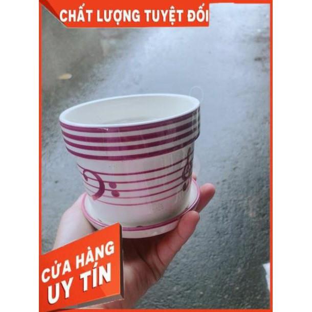 Chậu Trồng Cây