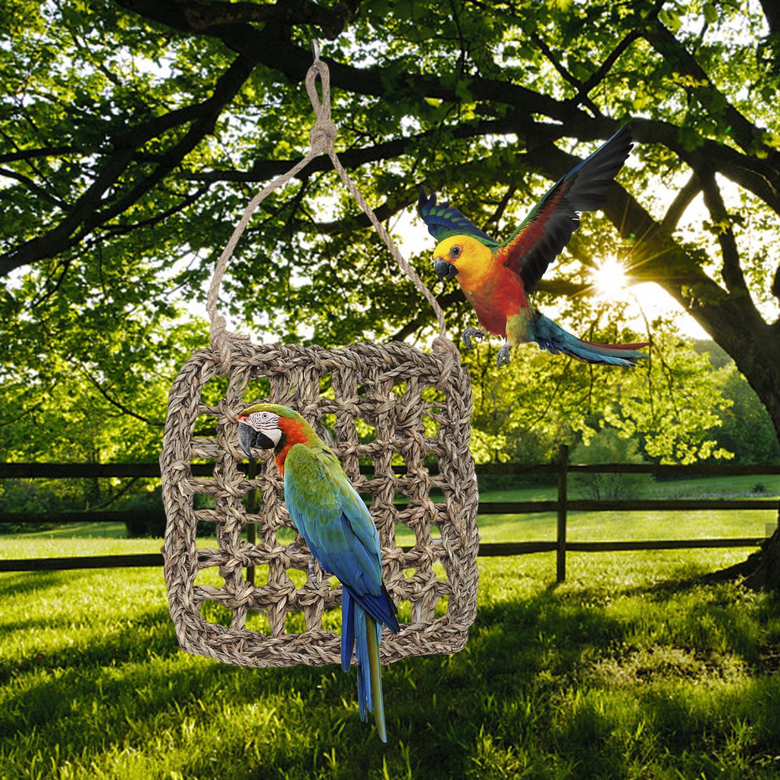 Climbing Ladder Hammock Activity Toy Bird Climbing Net for Finches Parakeets S