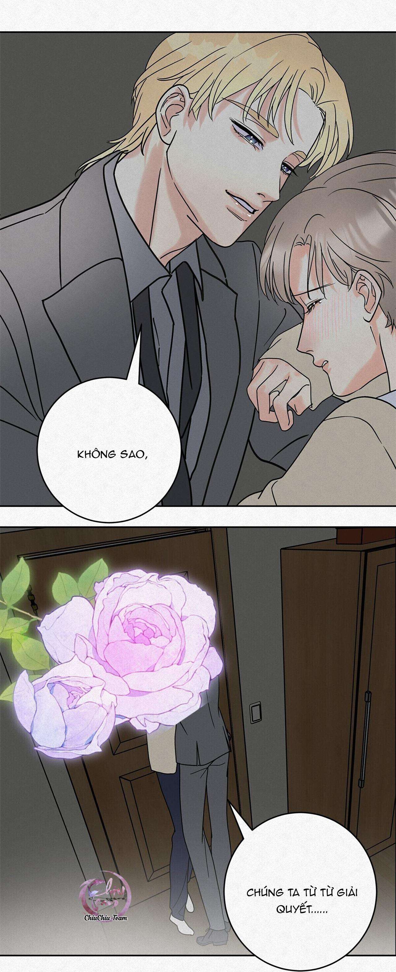 anh trai rẻ tiền của tôi chapter 11 19