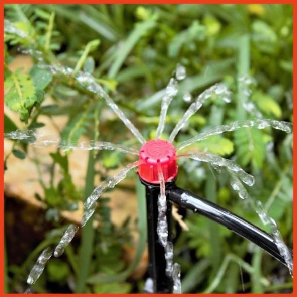 50 đầu nhỏ giọt 8 tia tưới gốc cây 206852