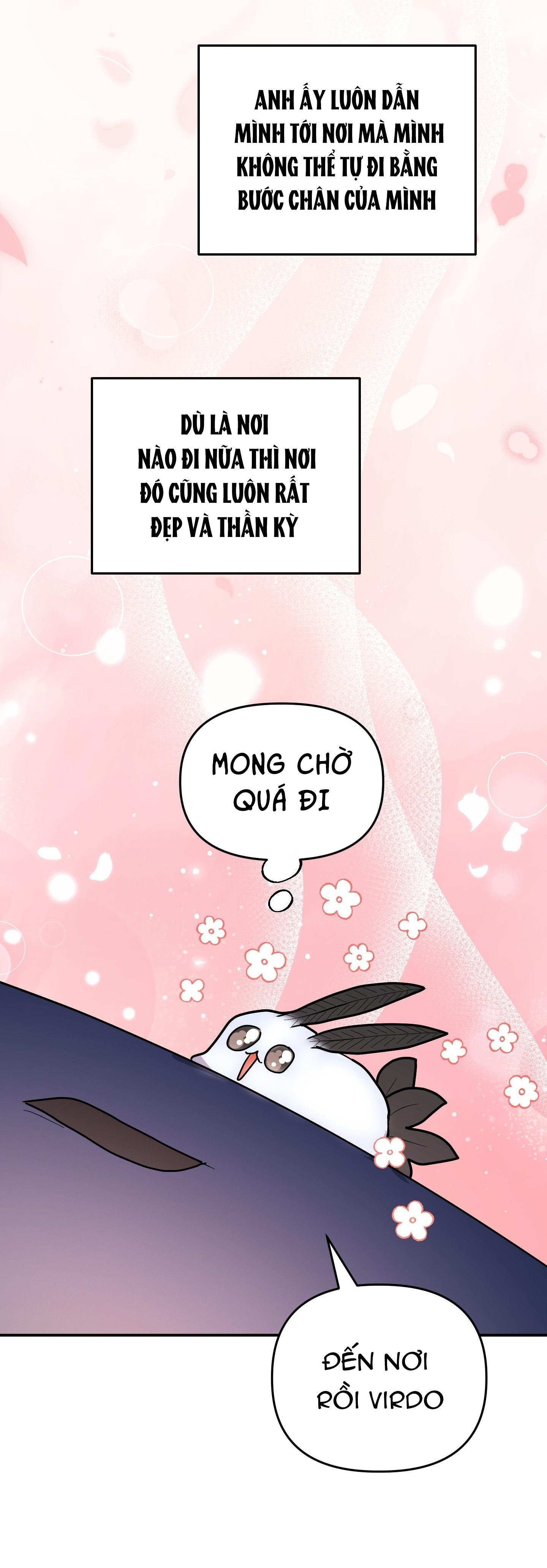cá mập và cô dâu thỏ chapter 53 28