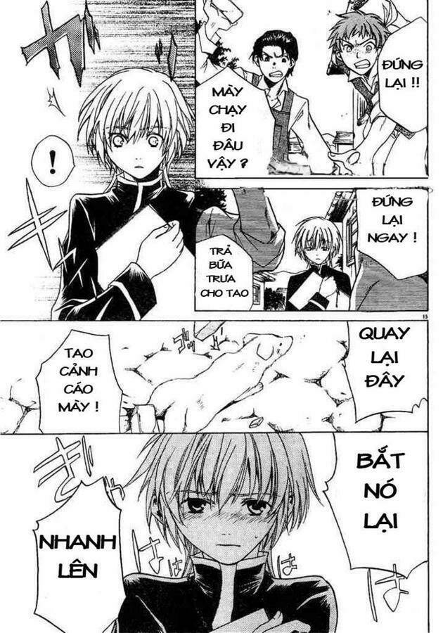 áo giáp vàng: thánh đấu sĩ thiên mã chapter 1 17