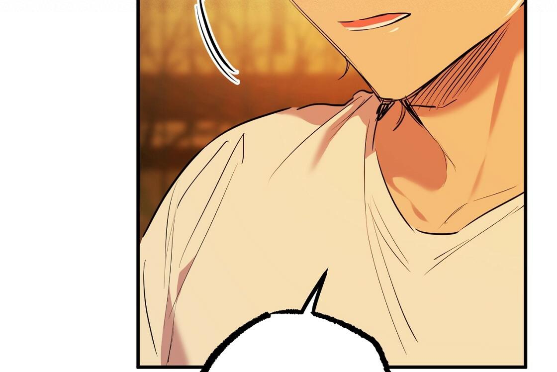 đàn thỏ của habibi chapter 24 97