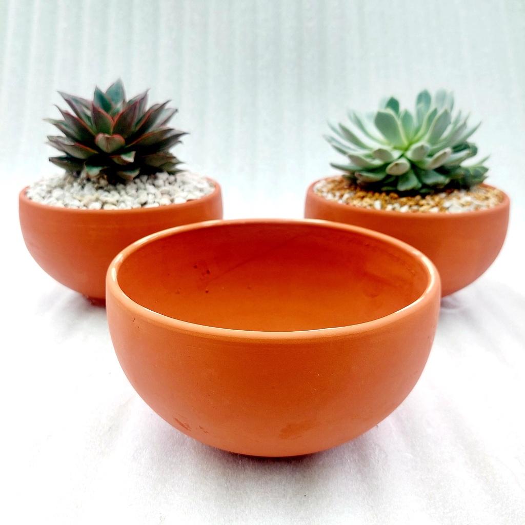 Chậu đất nung, Chậu sen đá - Tô 1610, miệng chậu 14-16cm, chiều cao 8.5cm