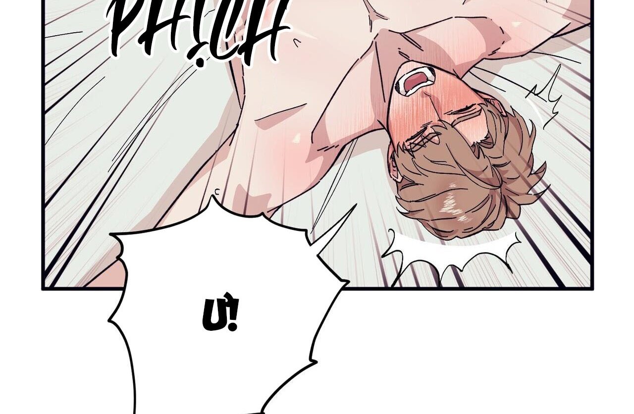 chàng dâu nhà họ kang chapter 46 96