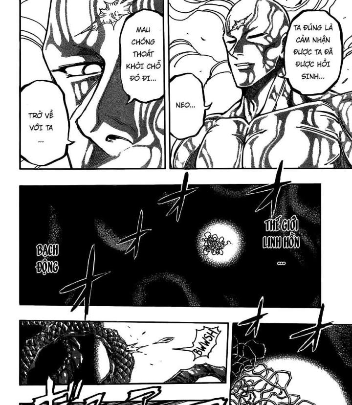 thánh tỏi sành ăn chapter 382 22