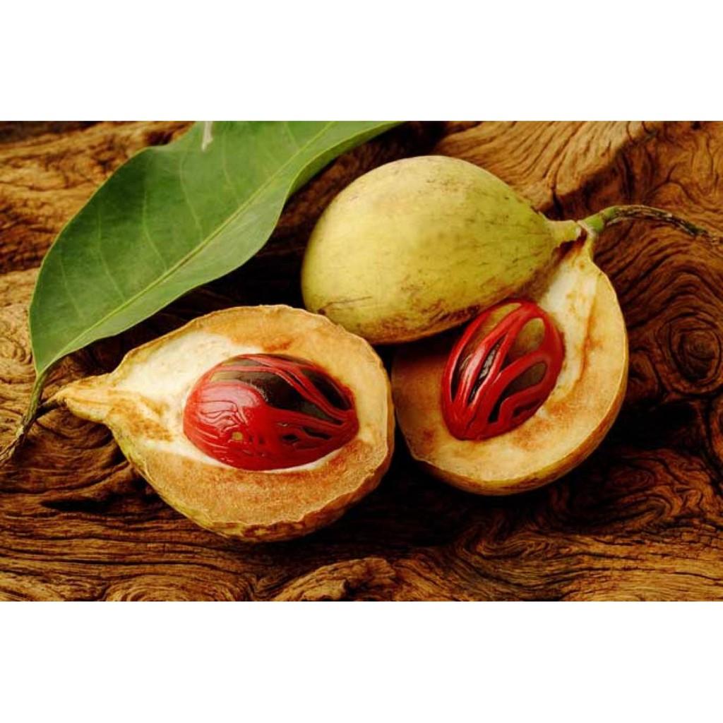 Nhục Đậu Khấu Ông Chà Và 500g (Nutmeg)