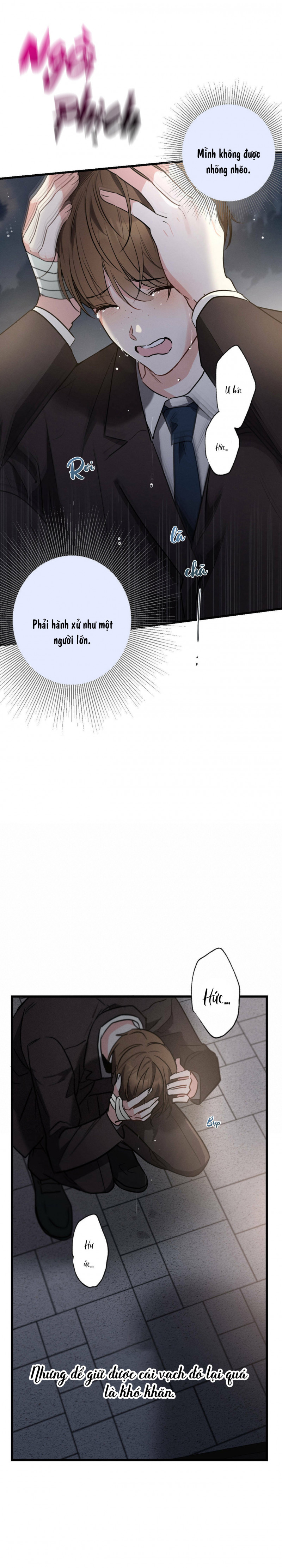 cố ý sơ xuất yêu đương chapter 23.5 11