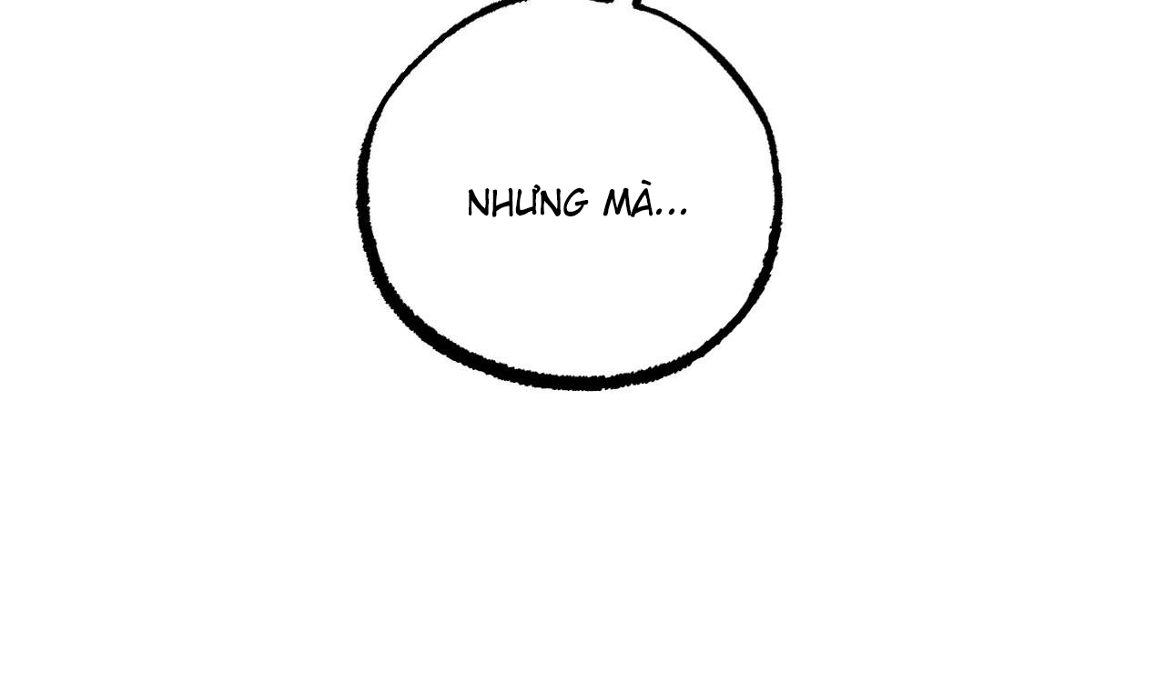 những chú thỏ của hapypy chapter 51 141