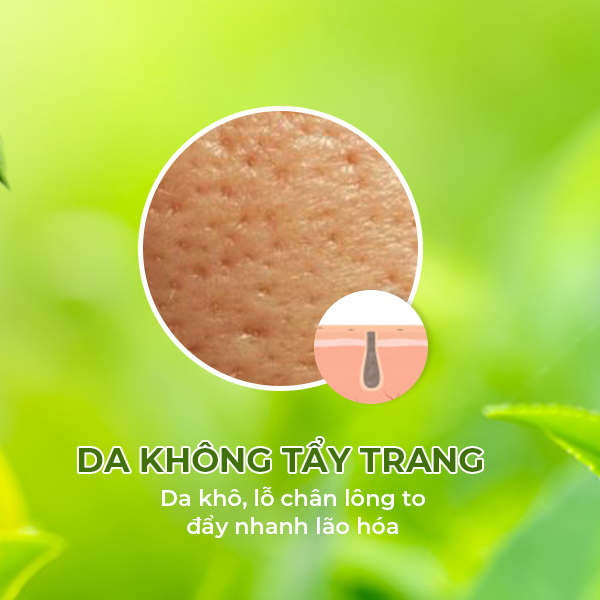 Dầu Tẩy Trang Trà Xanh YHL