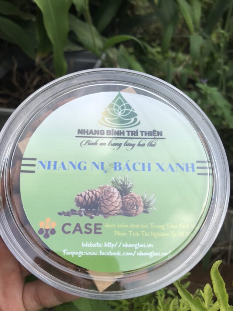 Nhang Nụ Tùng Bách Xanh thơm ngọt Bình Trí Thiện (100% tự nhiên)